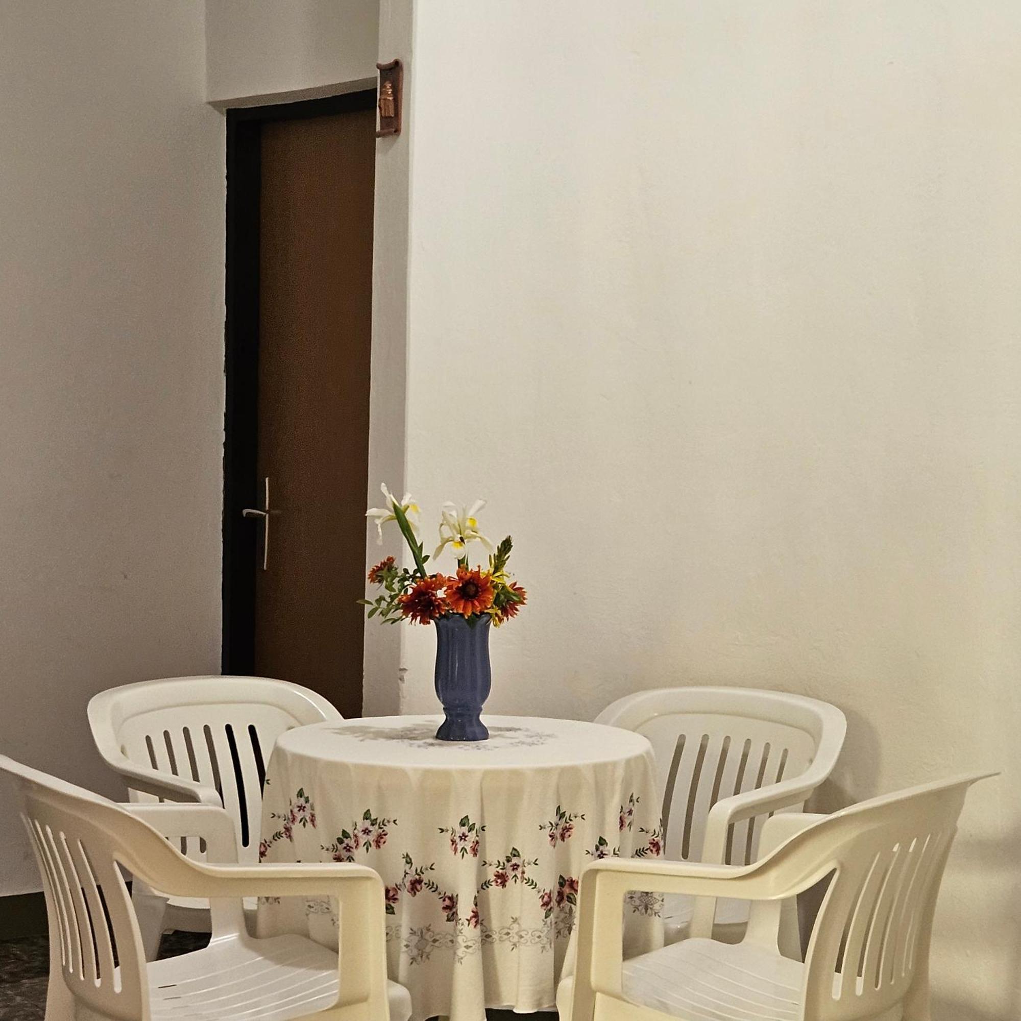 Apartman Agava 奈维斯 外观 照片